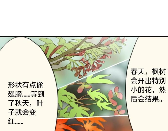 星之花韩漫全集-番外 枫叶无删减无遮挡章节图片 
