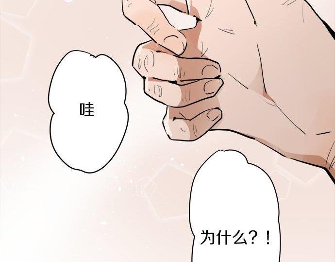 星之花韩漫全集-第67话 剪断无删减无遮挡章节图片 