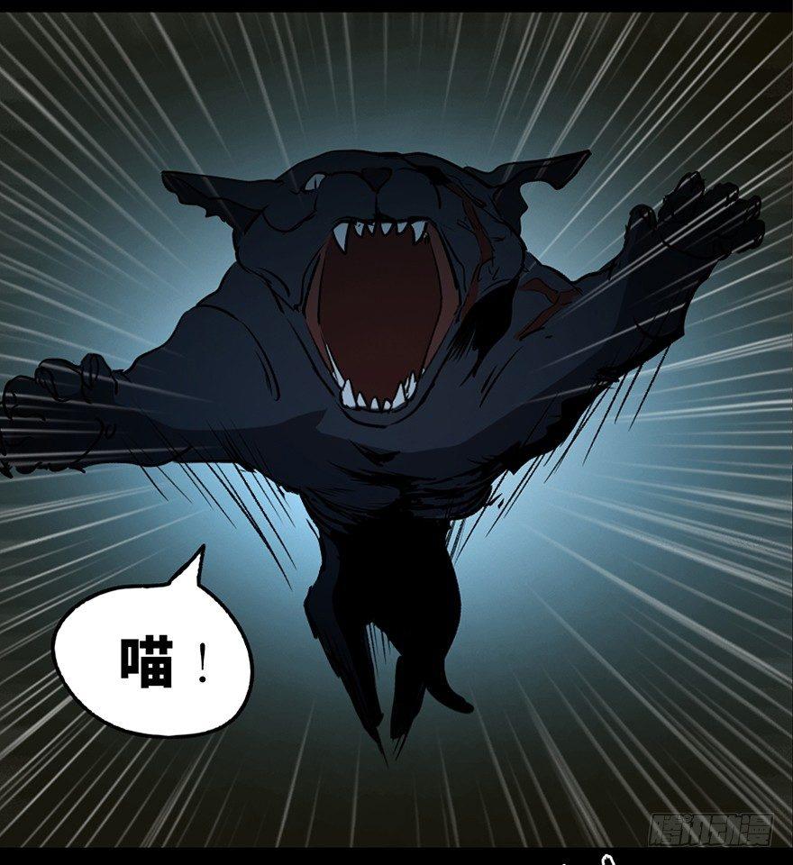 心跳300秒韩漫全集-第一零五话·僵尸猫无删减无遮挡章节图片 