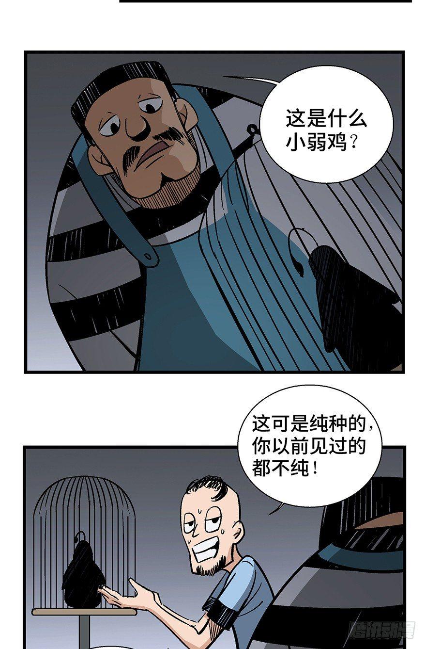 心跳300秒韩漫全集-第一三八话·鸡王之王无删减无遮挡章节图片 