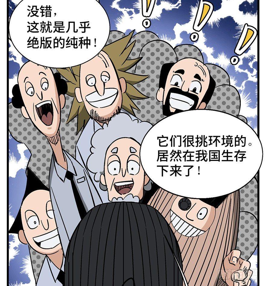 心跳300秒韩漫全集-第一三八话·鸡王之王无删减无遮挡章节图片 