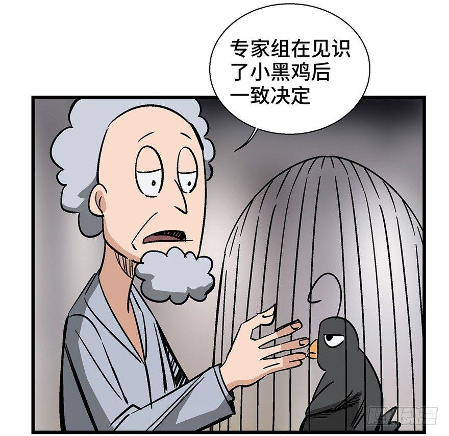 心跳300秒韩漫全集-第一三八话·鸡王之王无删减无遮挡章节图片 