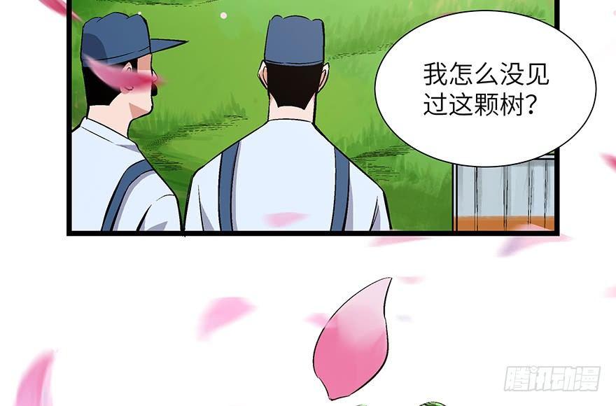 心跳300秒韩漫全集-第一七零话·花开之时无删减无遮挡章节图片 