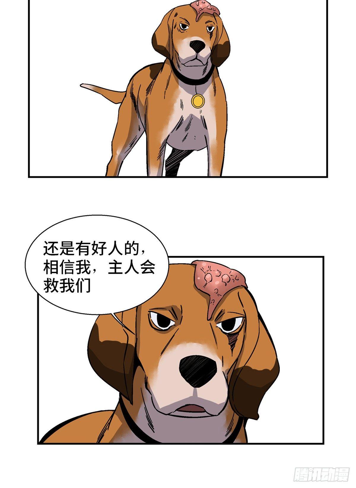 心跳300秒韩漫全集-第一七九话·寻找人类无删减无遮挡章节图片 