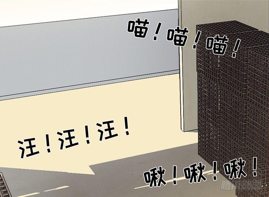 心跳300秒韩漫全集-第三十话·宠物商无删减无遮挡章节图片 