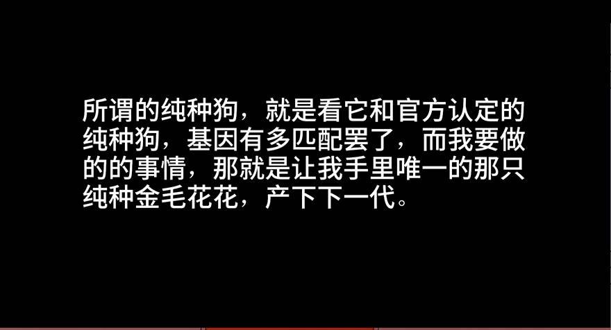 心跳300秒韩漫全集-第三十话·宠物商无删减无遮挡章节图片 