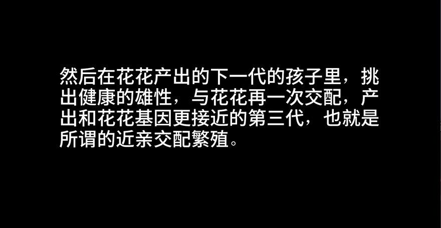 心跳300秒韩漫全集-第三十话·宠物商无删减无遮挡章节图片 