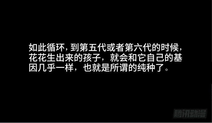 心跳300秒韩漫全集-第三十话·宠物商无删减无遮挡章节图片 