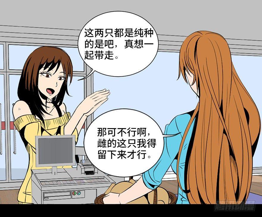 心跳300秒韩漫全集-第三十话·宠物商无删减无遮挡章节图片 