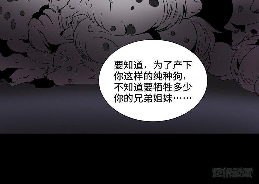 心跳300秒韩漫全集-第三十话·宠物商无删减无遮挡章节图片 