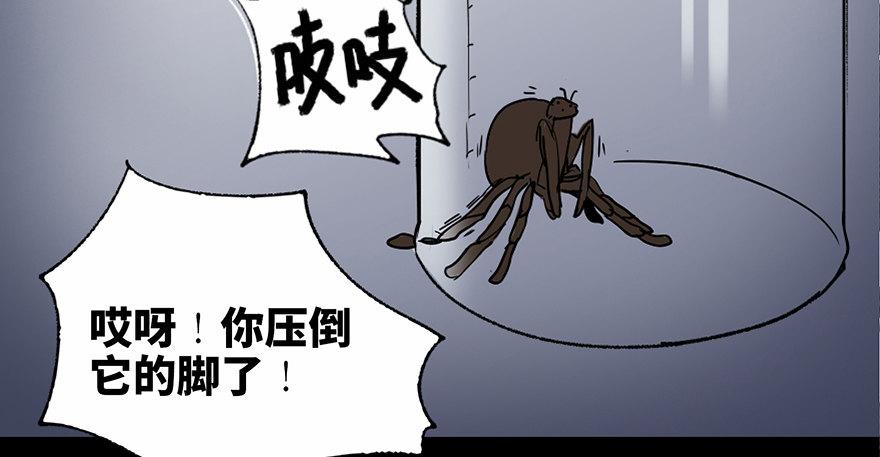 心跳300秒韩漫全集-第三十四话·动物保护无删减无遮挡章节图片 