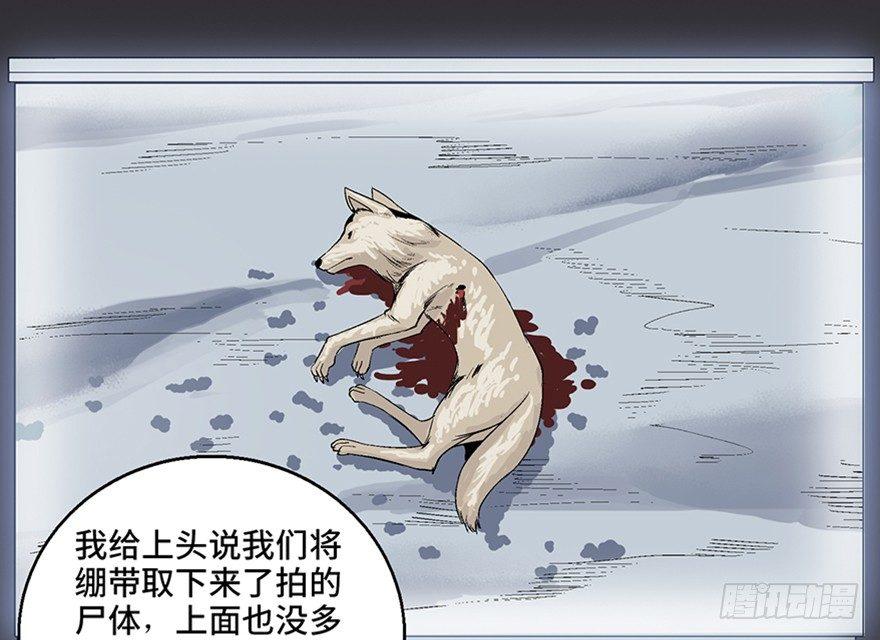 心跳300秒韩漫全集-第九十七话·孤 狼无删减无遮挡章节图片 