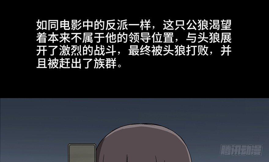 心跳300秒韩漫全集-第九十七话·孤 狼无删减无遮挡章节图片 