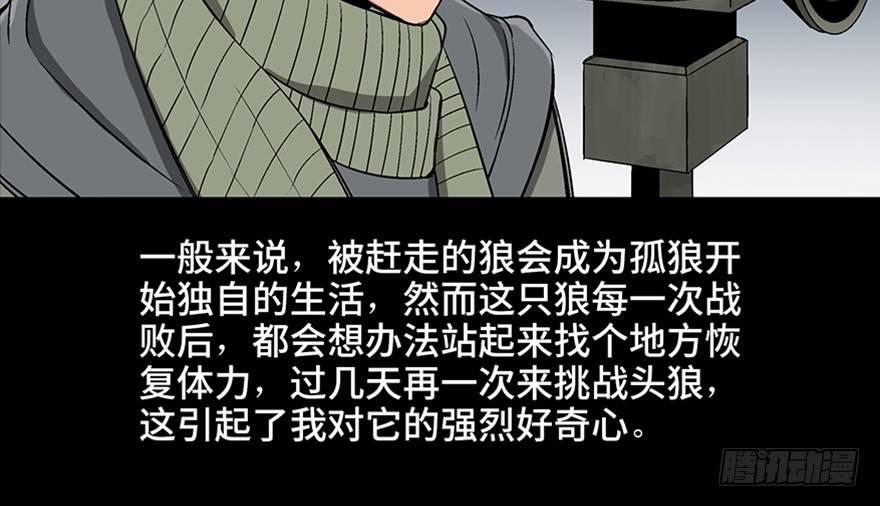 心跳300秒韩漫全集-第九十七话·孤 狼无删减无遮挡章节图片 