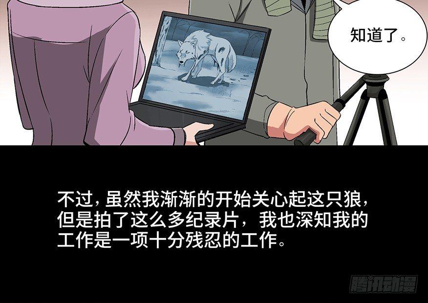 心跳300秒韩漫全集-第九十七话·孤 狼无删减无遮挡章节图片 