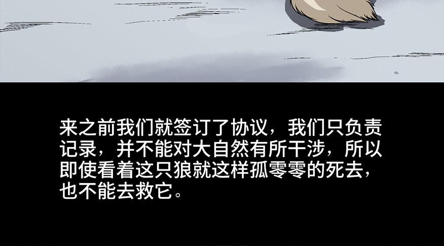 心跳300秒韩漫全集-第九十七话·孤 狼无删减无遮挡章节图片 