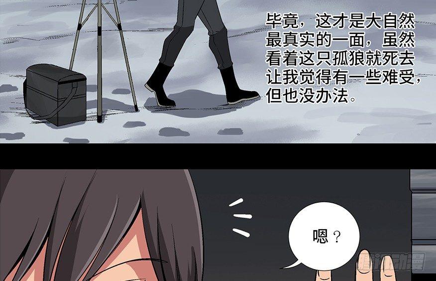 心跳300秒韩漫全集-第九十七话·孤 狼无删减无遮挡章节图片 