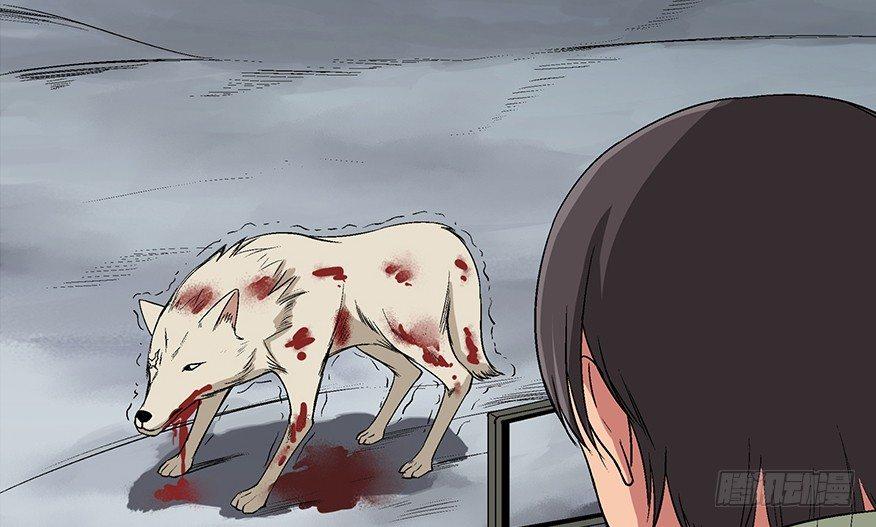 心跳300秒韩漫全集-第九十七话·孤 狼无删减无遮挡章节图片 