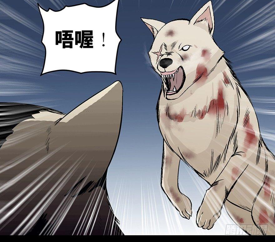 心跳300秒韩漫全集-第九十七话·孤 狼无删减无遮挡章节图片 