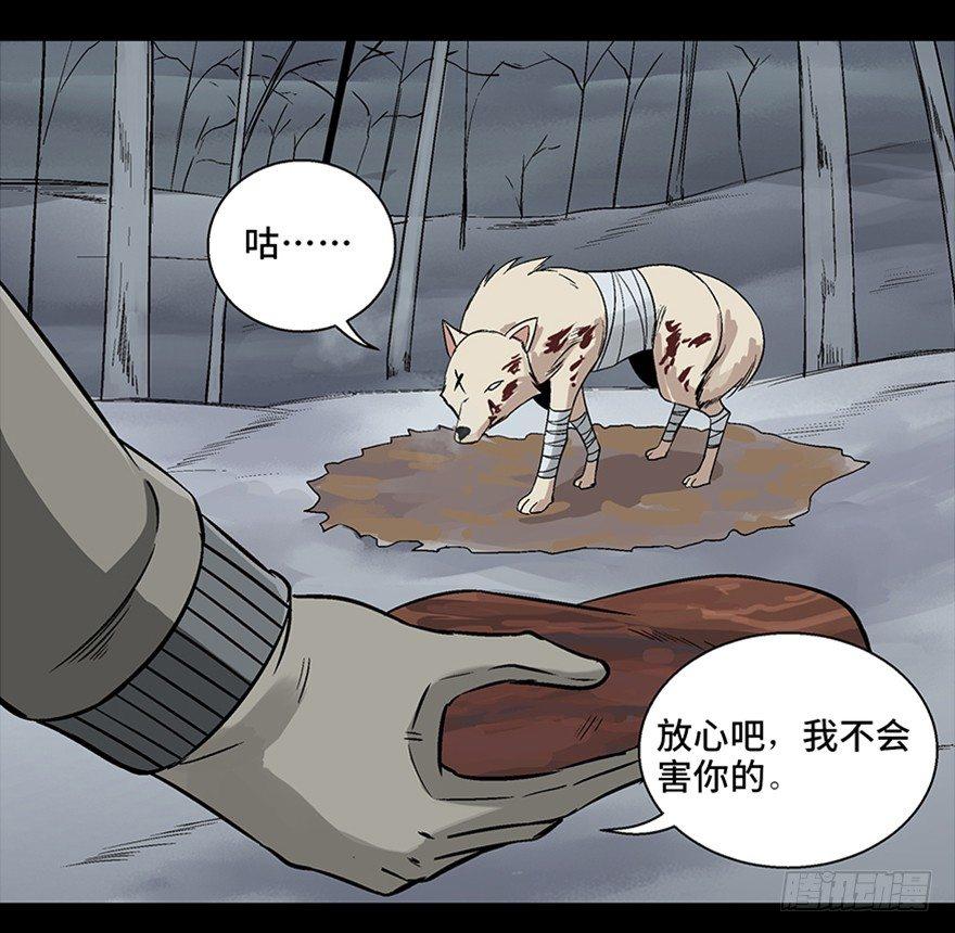 心跳300秒韩漫全集-第九十七话·孤 狼无删减无遮挡章节图片 