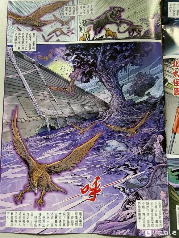 新著龙虎门韩漫全集-第1047卷无删减无遮挡章节图片 