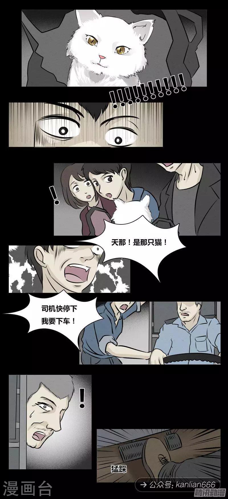 细思极恐故事会韩漫全集-第101话 猫的诅咒无删减无遮挡章节图片 