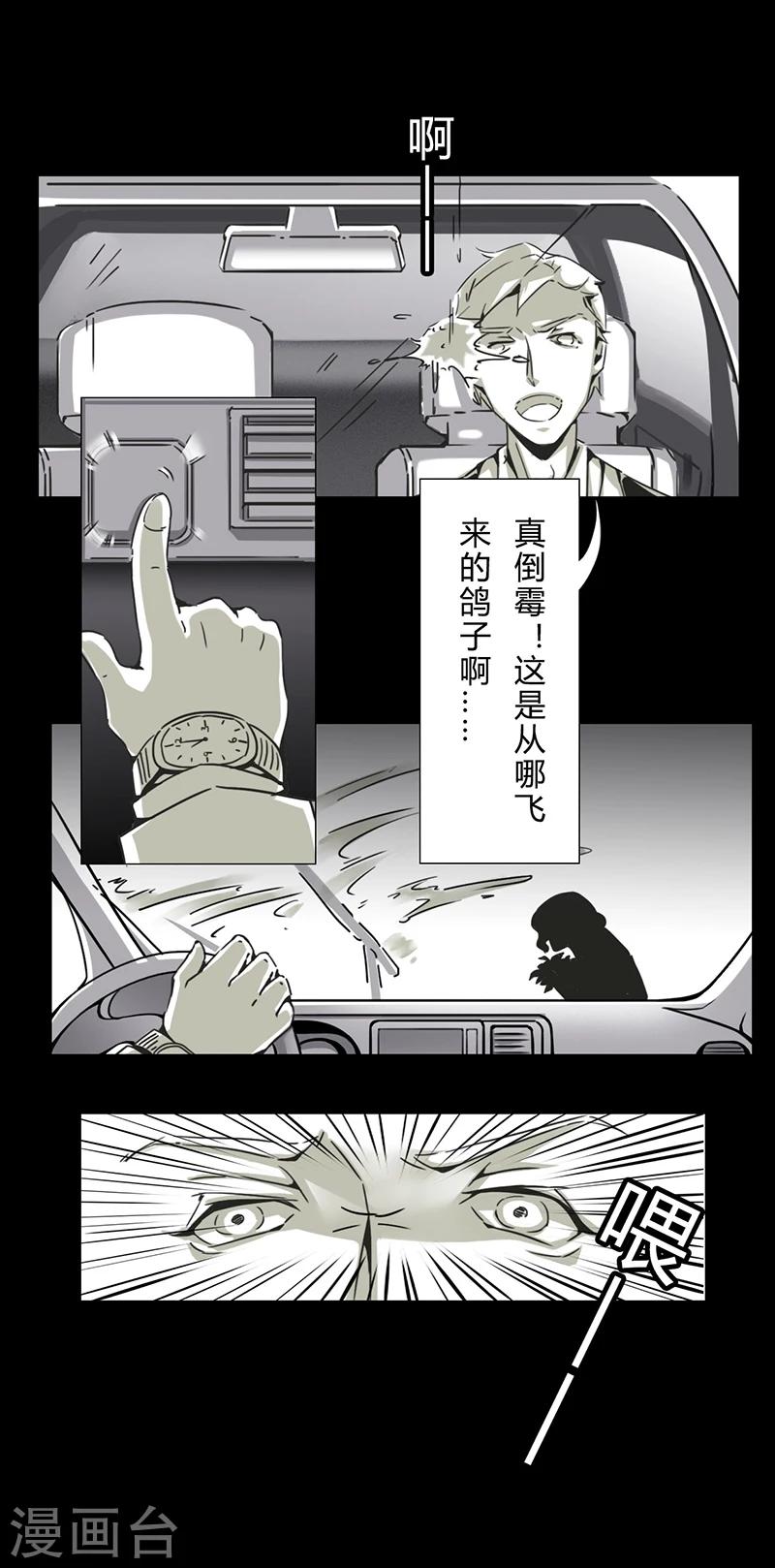 细思极恐故事会韩漫全集-第16话 鸽子无删减无遮挡章节图片 