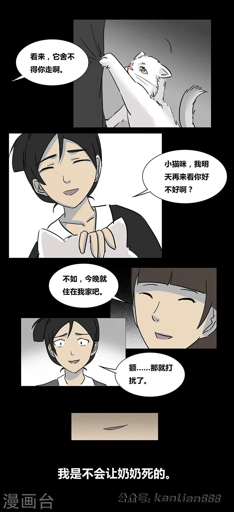 细思极恐故事会韩漫全集-第55话 老人与猫无删减无遮挡章节图片 