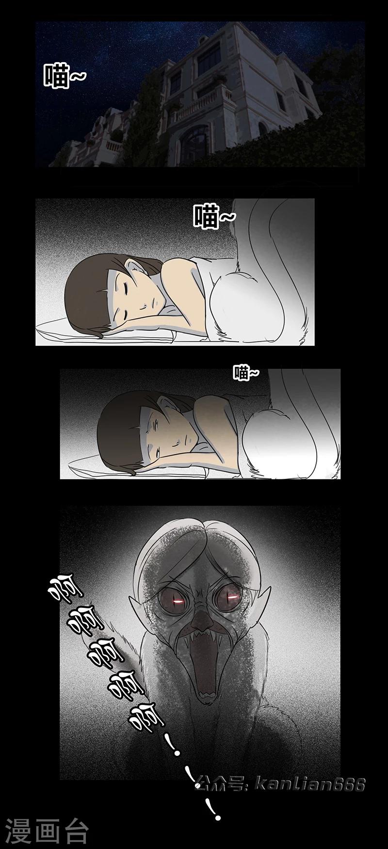 细思极恐故事会韩漫全集-第55话 老人与猫无删减无遮挡章节图片 