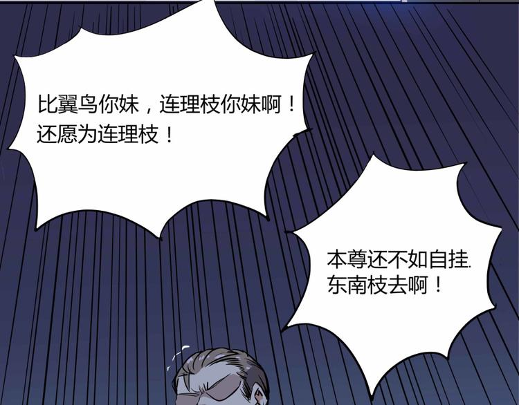 修真聊天群韩漫全集-第02话 且待本尊算上一卦无删减无遮挡章节图片 