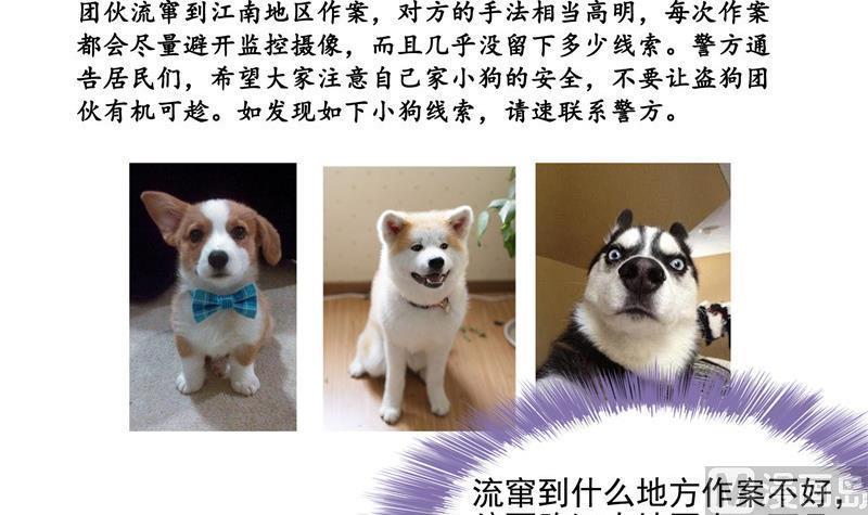 修真聊天群韩漫全集-第107话 白前辈的自拍无删减无遮挡章节图片 