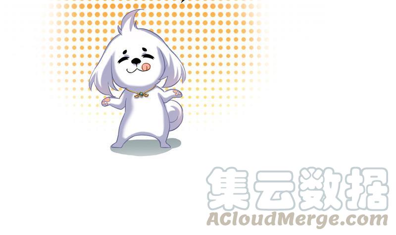 修真聊天群韩漫全集-第108话 白前辈的祝福无删减无遮挡章节图片 