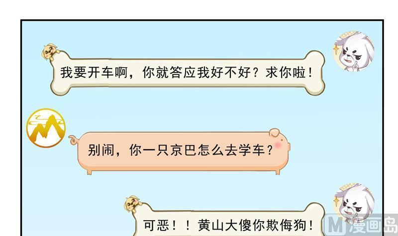 修真聊天群韩漫全集-第123话 那让人熟悉的惨叫！无删减无遮挡章节图片 