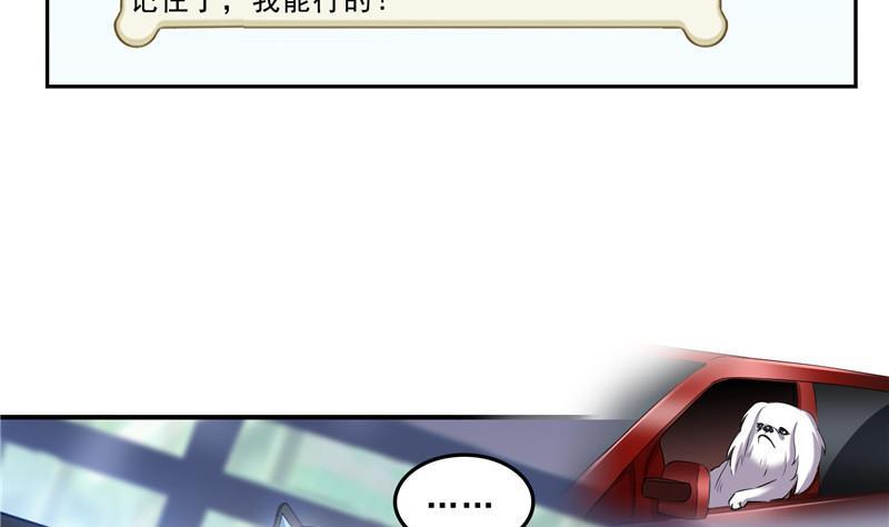 修真聊天群韩漫全集-第123话 那让人熟悉的惨叫！无删减无遮挡章节图片 