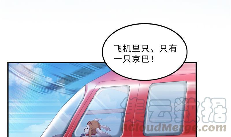 修真聊天群韩漫全集-第133话 有只京巴在开飞机！无删减无遮挡章节图片 