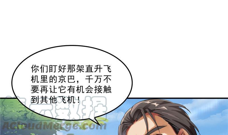 修真聊天群韩漫全集-第133话 有只京巴在开飞机！无删减无遮挡章节图片 