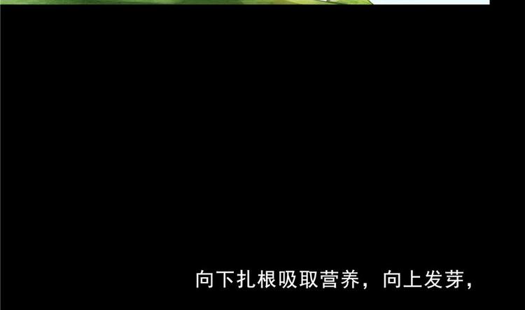 修真聊天群韩漫全集-番外4 我是一根葱无删减无遮挡章节图片 