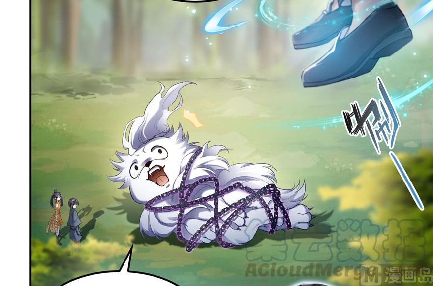 修真聊天群韩漫全集-第171话 白尊者放心我来保媒无删减无遮挡章节图片 