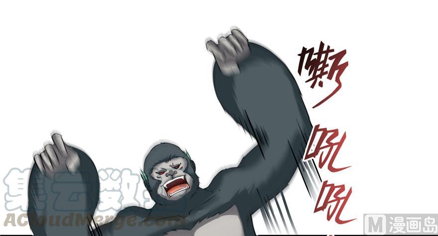 修真聊天群韩漫全集-第176话 体操明猩无删减无遮挡章节图片 