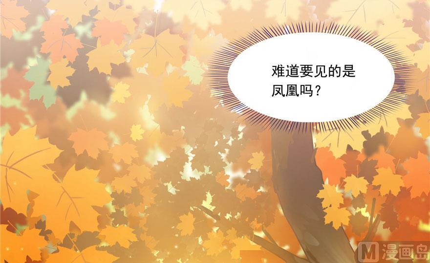 修真聊天群韩漫全集-第187话 去见灵兽前辈无删减无遮挡章节图片 