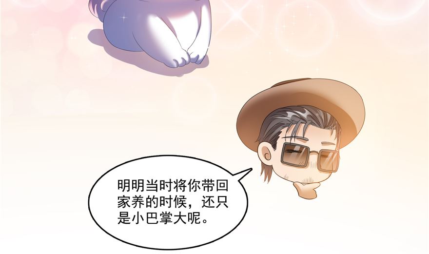 修真聊天群韩漫全集-第254话 什么？该嫁人了？无删减无遮挡章节图片 