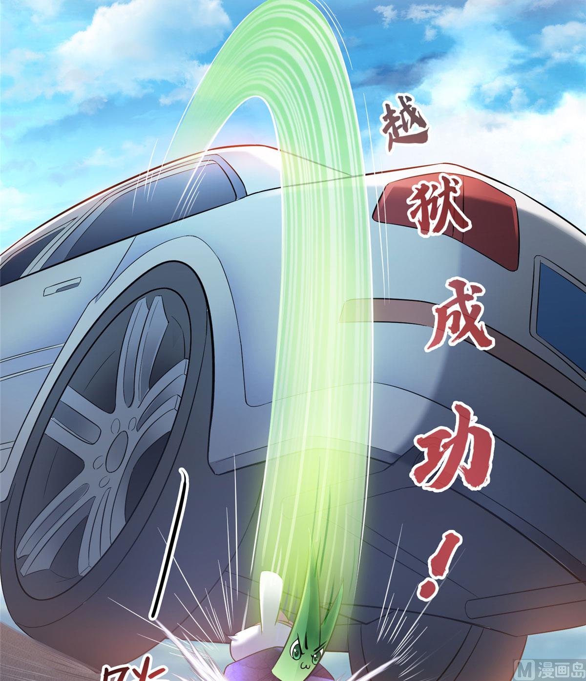 修真聊天群韩漫全集-第258话 葱娘在行动无删减无遮挡章节图片 