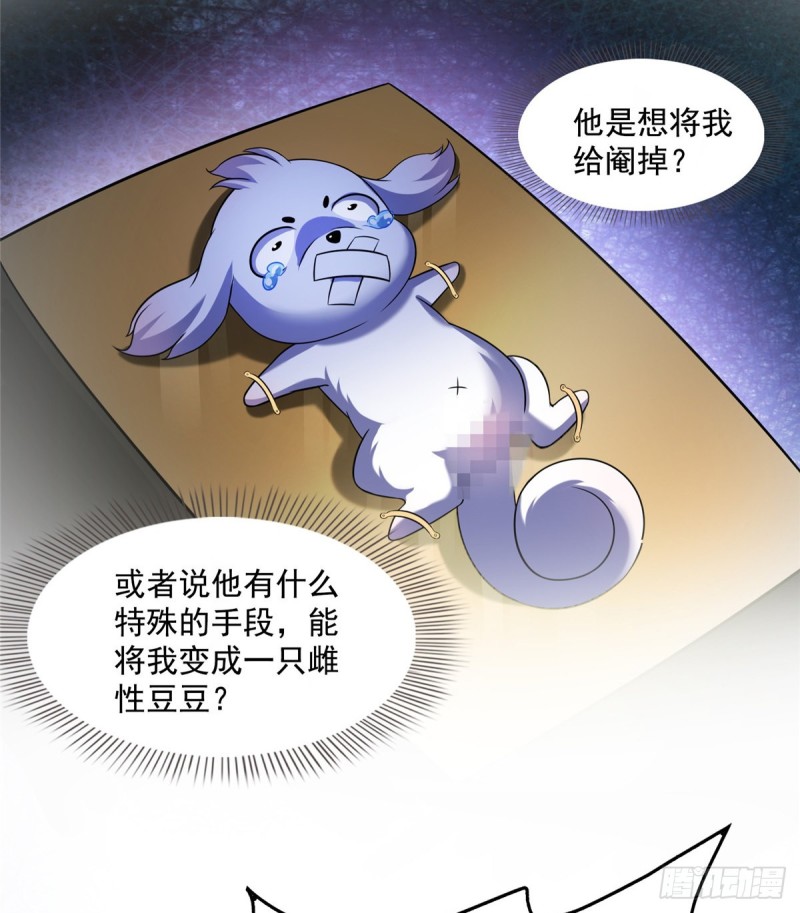 修真聊天群韩漫全集-325 药师兄床铺再预定半月无删减无遮挡章节图片 
