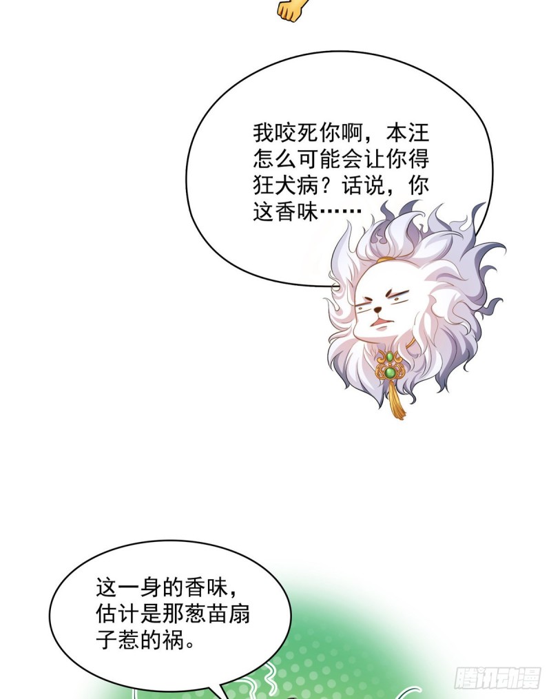 修真聊天群韩漫全集-第365话 上上上上签无删减无遮挡章节图片 