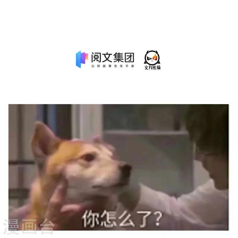 修真聊天群韩漫全集-第438话 白前辈的计划B无删减无遮挡章节图片 