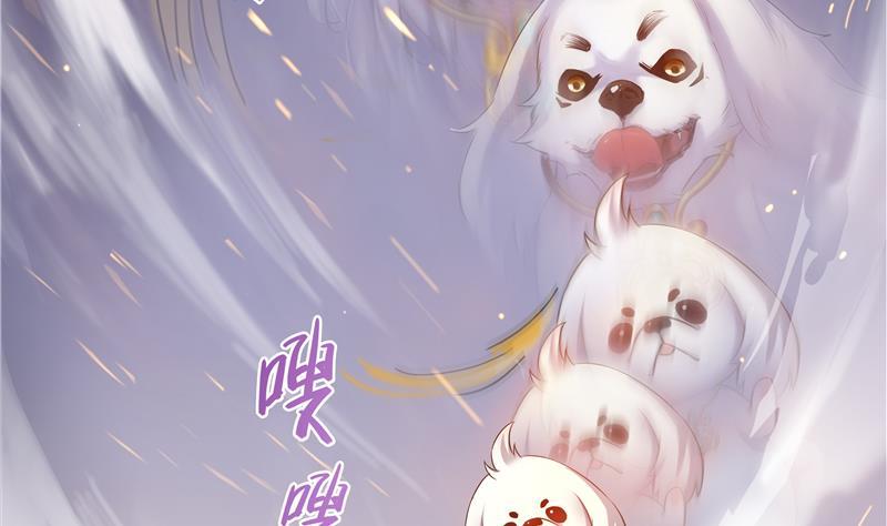 修真聊天群韩漫全集-第71话 大狗：借你账号一用！无删减无遮挡章节图片 