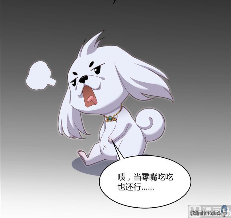 修真聊天群韩漫全集-第73话 你的狗老公无删减无遮挡章节图片 