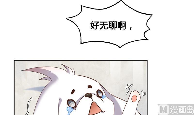 修真聊天群韩漫全集-第73话 你的狗老公无删减无遮挡章节图片 