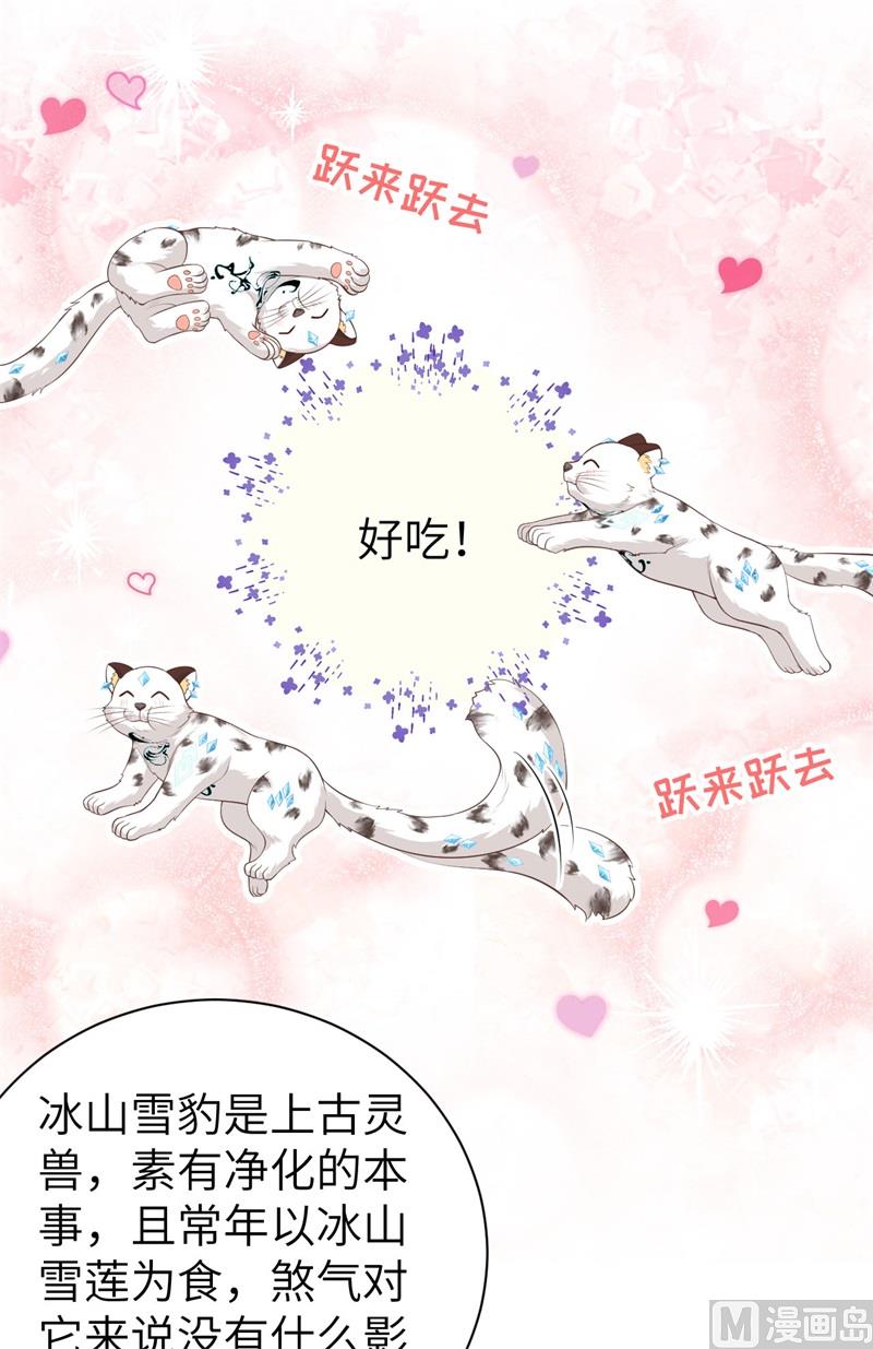 修真奶爸惹不起韩漫全集-095 婚礼之约无删减无遮挡章节图片 