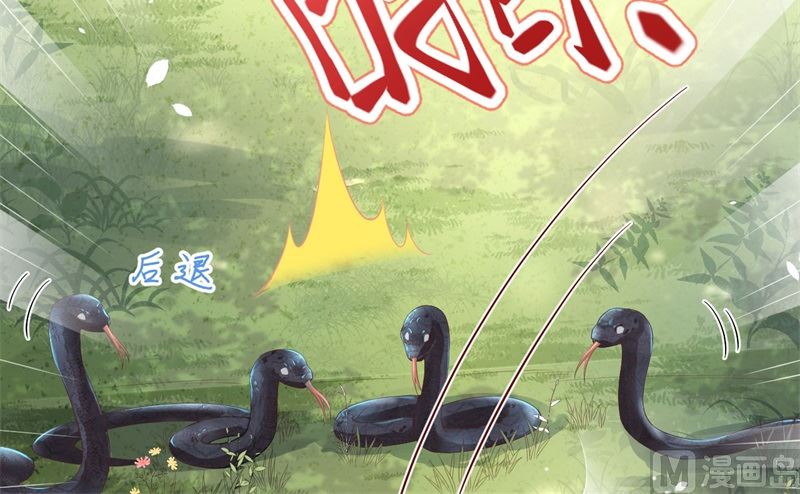修真奶爸惹不起韩漫全集-075 老婆的话必须得听无删减无遮挡章节图片 